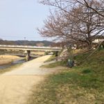 今日の鴨川(2019/03/29)