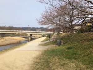 今日の鴨川(2019/03/29)