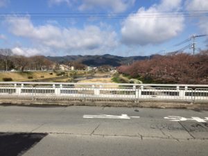 今日の鴨川(2019/04/02)