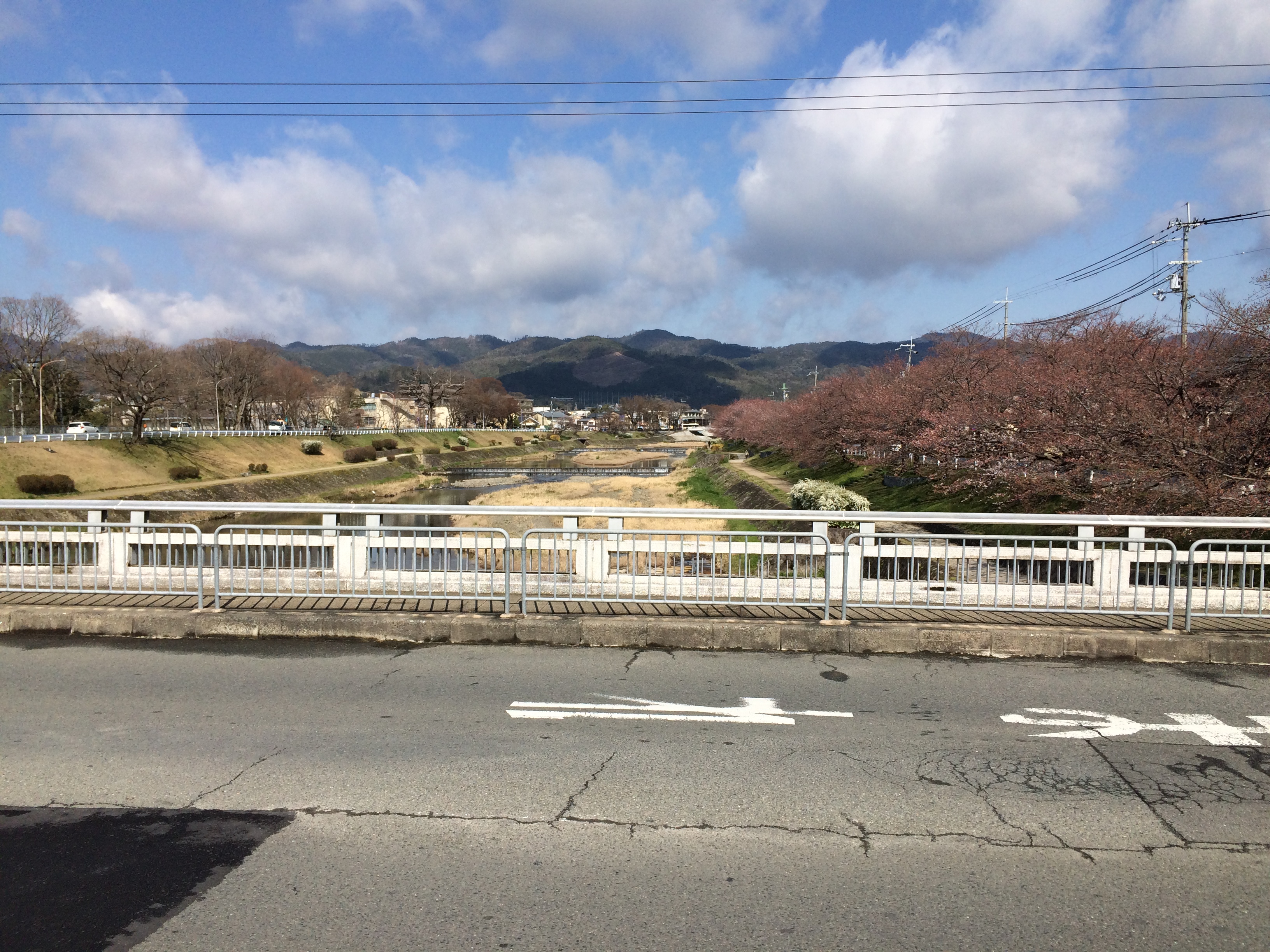 今日の鴨川(2019/04/02)