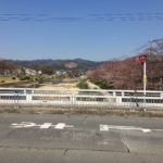 今日の鴨川(2019/04/04)