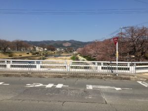 今日の鴨川(2019/04/04)